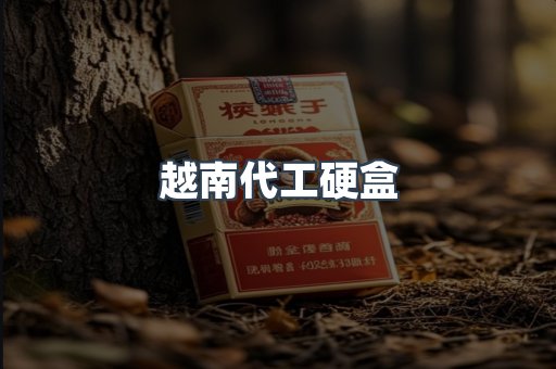 越南代工硬盒